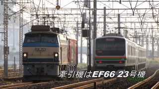 【エコパワー金太郎 甲種輸送】EH500-71 牽引機は 国鉄型 EF66 23 20101006