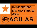 INVERSIGO DE MATRICO 4X4 per Gaŭsa Metodo (ESPERANTO)