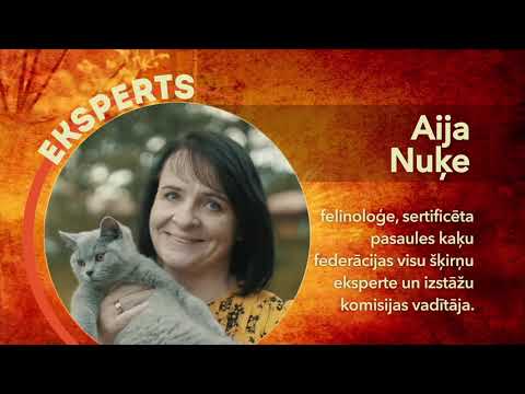 Video: Kā Atradināt Kaķi No Gulēšanas Uz Virtuves Galda