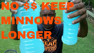 ***CRAPPIE MINNOWS HOW TO KEEP MINNOWS ALIVE 4X LONGER IN THE HEAT OF SUMMER***