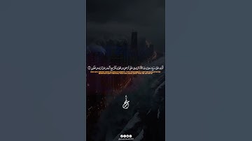 بأداء يفيض بالخشوع.. الشيخ أحمد سامح يتلو آيات من الذكر الحكيم