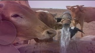 Su Kıtlığı Savaş Riskini Artıyor