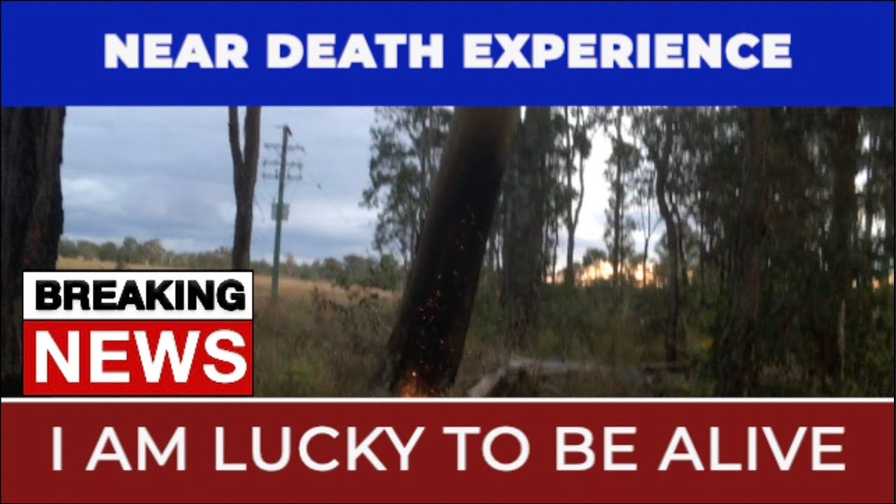 LUCKY TO BE ALIVE TREE FALL NEAR DEATH EXPERIENCE YouTube