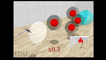 Vision-Based  Collisions and Occlusions Avoidance