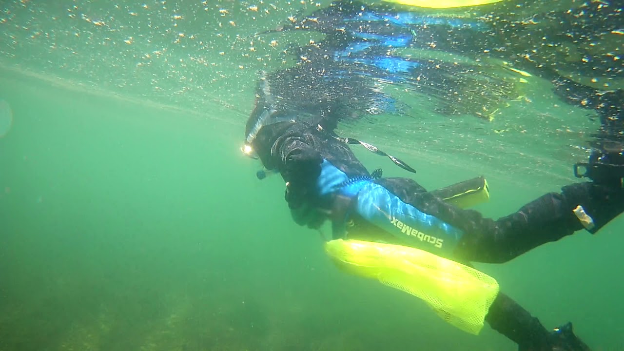 Snorkeling at Sandwich Town Beach Cape Cod 7/18/2017 YouTube