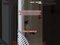 心理壓力MAX #貓咪 ｜VS MEDIAｘ洪鍋貼