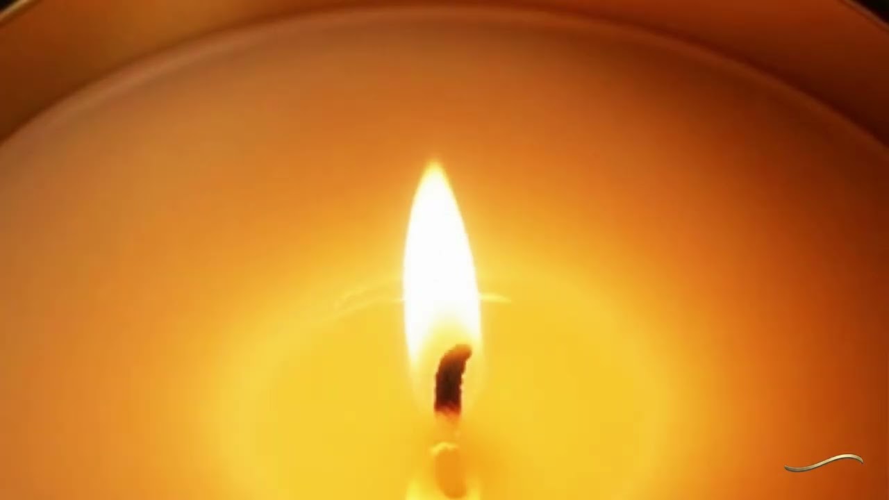 create high quality AI generated video ads for your brands(business, service, product)