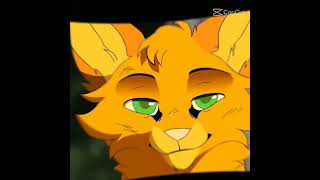 Warrior Cats