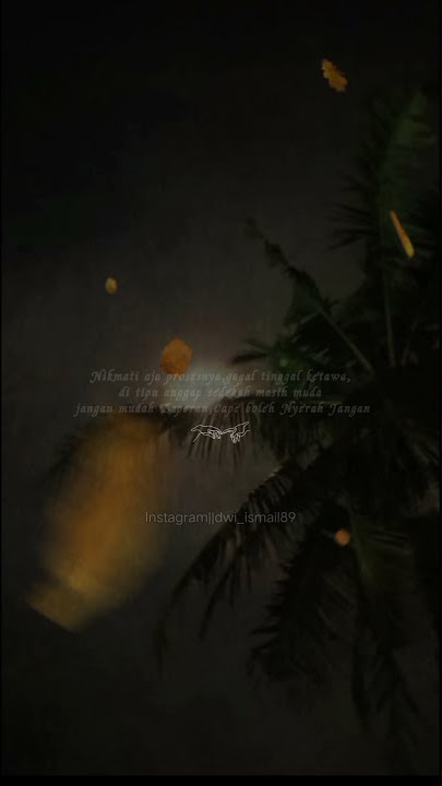 story' wa malam sunyi
