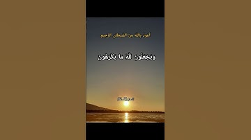 الشيخ مختار الحاج || سورة النحل ||(ولو يؤاخذ الله الناس بظلمهم ما ترك عليها من دابة) || nahl suresi