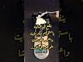 سعرات الارز باللبن الساده دايت Diet Fyp Short Fitness Fit Dietfood سعرات الارز باللبن الساده دايت Diet Fyp Short Fitness Fit Dietfood