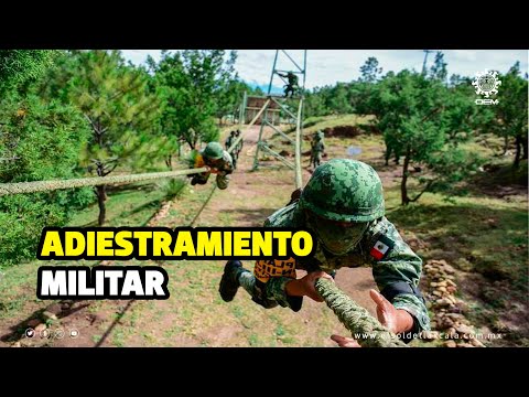 Vídeo: Rifles d'acció de forrellat: per país i continent: repúbliques bananeres i Mèxic. (part 7)