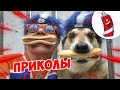 ЗАСМЕЯЛСЯ - ПОДПИСАЛСЯ! | FUNNY MOMENTS 2023 | 613 СЕКУНД СМЕХА! | #345