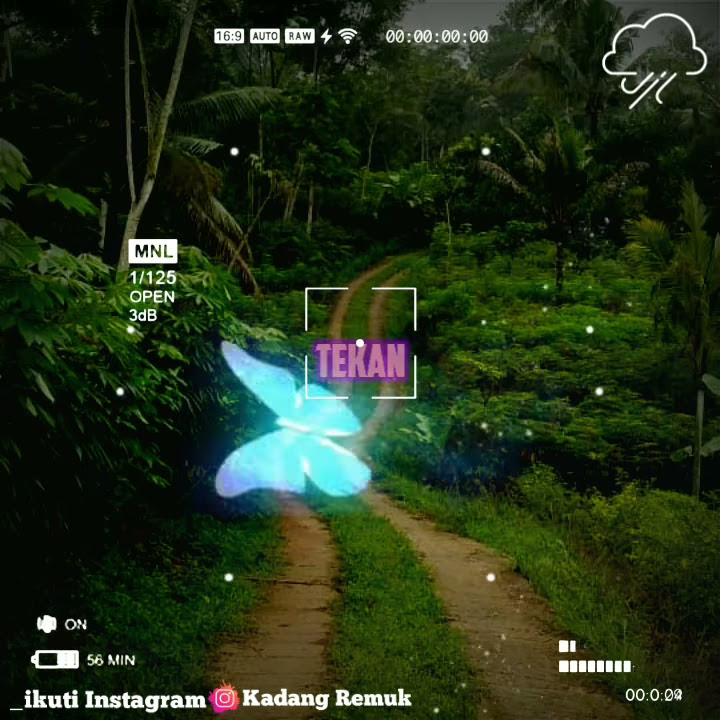Quotes literasi/pemula by kadang remuk