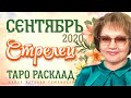 Стрелец таро прогноз на сентябрь 2020г