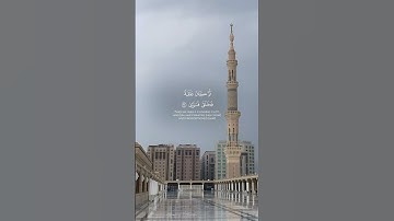 أَيَحْسَبُ الْإِنسَانُ أَن يُتْرَكَ سُدًى (36) سورة القيامة