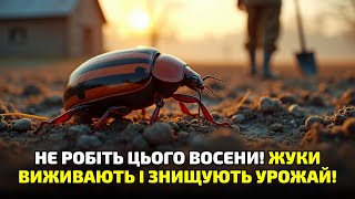 картинка: Восени треба діяти негайно! Як знищити всіх жуків, щоб вони не вилізли навесні