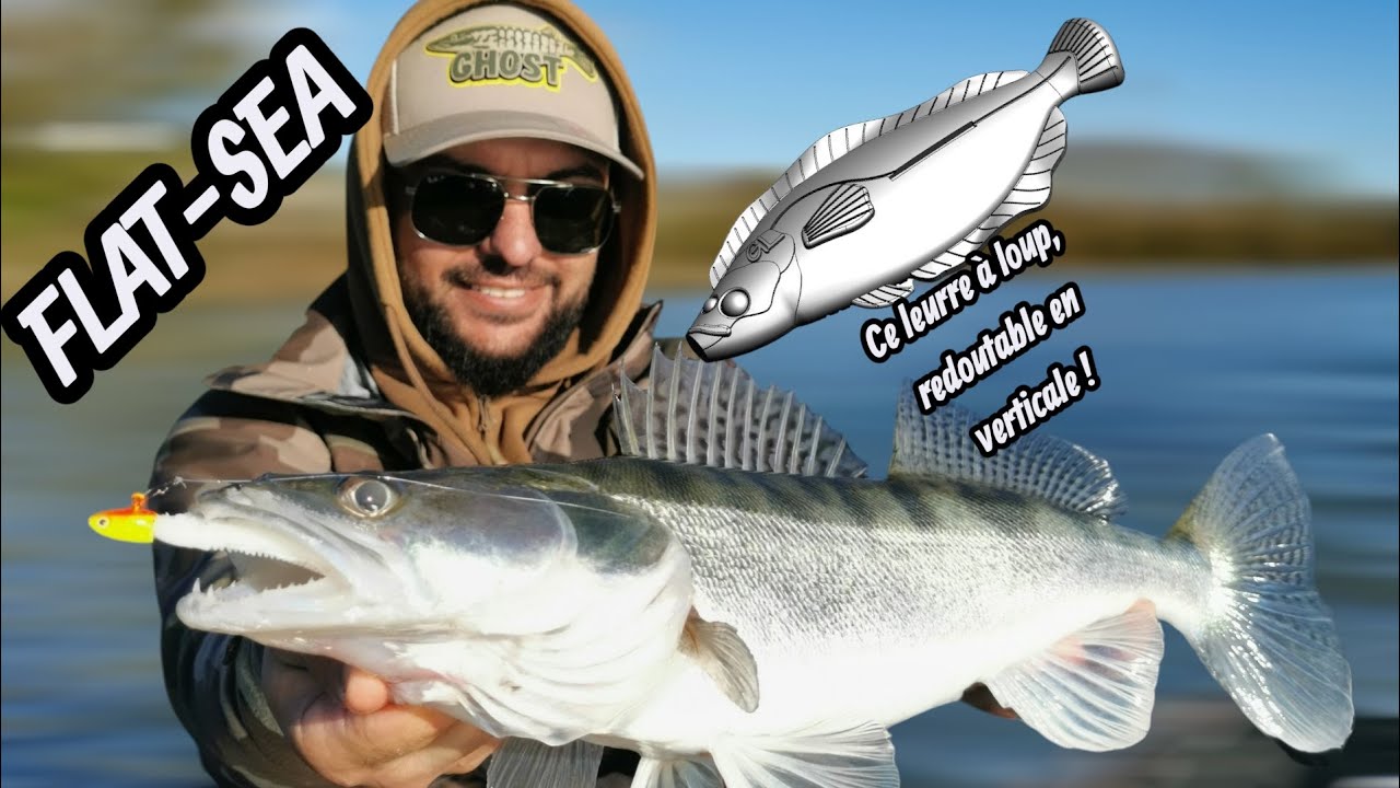 Sandres en folies sur le Rhône, en verticale, avec un leurre improbable. 