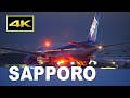 [4K] Cold winter night - plane spotting 2023 at Sapporo New Chitose Airport / 新千歳空港 雪景色 JAL ANA