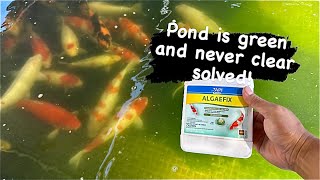 Pond Is Green And Never Clear, Solved