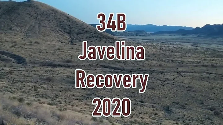 2020 Arizona Javelina Hunt Unit 34B