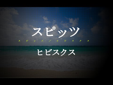 スピッツ ヒビスクス Subaru フォレスター Cmソング 02 Jpnews禅 Youtube