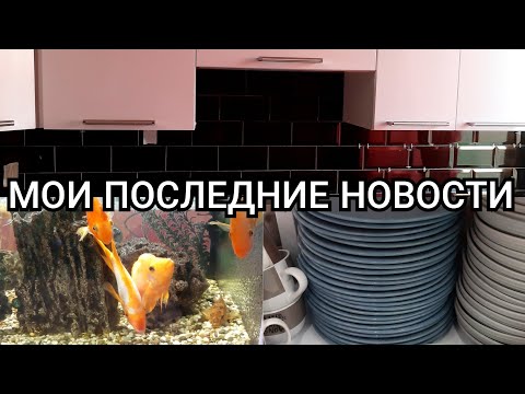 О РЕМОНТЕ&#55357;&#56425;‍&#55357;&#56615;И ПОХУДЕНИИ&#55358;&#56790;‍♀️ // НОВИНКИ ПОСУДЫ ИЗ АШАНА&#55356;&#57213; // ВРЕМЯ СЕМЕЙНЫХ ПРАЗДНИКОВ❤ // ПРОГУЛКА&#55357;&#56374;