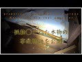 孤独◯された本物の事故物件を公開します