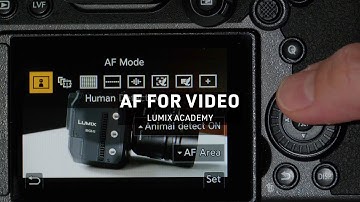 Auto Focus for Video | LUMIX Academy | S5