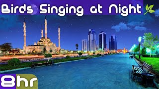 Birds Singing at Night | Singing Birds on a Summer Night | Night Singing Birds