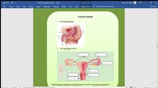 Lembar Kerja Peserta Didik (LKPD) Sistem Reproduksi Manusia, Universitas Tidar