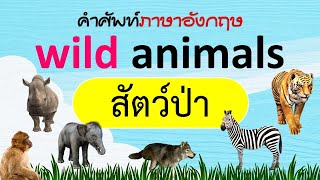 สัตว์ป่า (wild animals) คำศัพท์อังกฤษ พร้อมคำอ่าน | Learn and song