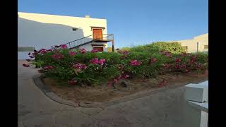 tui blue aura ibiza block 9
