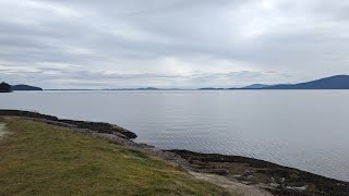 Animal discoveries during low tide at Bellingham Bay.