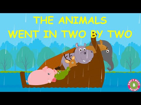 The Animals Went In Two By Two Song | Nursery Rhymes | Kids Songs | Bindi's Music x Rhymes