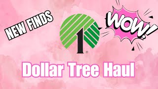 Amazing Finds| Dollar Tree Haul|New|