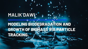 MODELLING BIODEGRADATION AND GROWTH OF BIOMASS VIA PARTICLE TRACKING -  GROUNDWATER WEBINAR UPC