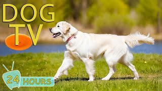 DOG TV: Best Video Entertain Anti-Anxiety for Dogs Alone Time - Collection Soothing Music for Dogs