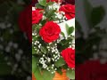 المنشد عيسى أبو براهيم للتواصل على 0997428584 