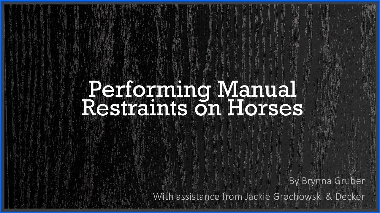 How To Perform Manual Restraints On A Horse YouTube