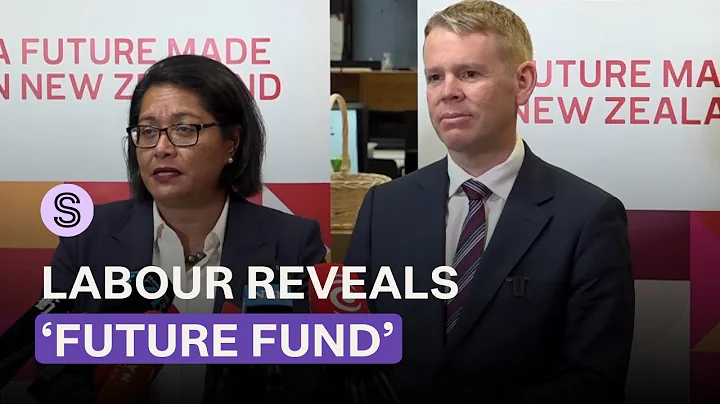 Labour essentially launches election campaign with first major policy announcement | Stuff.co.nz
