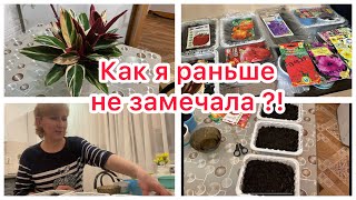 Посадила перец и не только. Почему я раньше не замечала?! Как перезимовала гортензия?