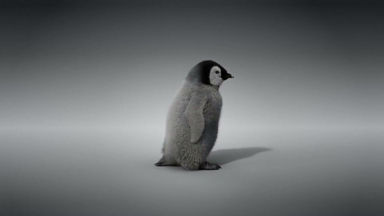 邦楽 Clippers-King penguin/Wicked babylon Screaming killer penguin | SciiFii Wiki | Fandom