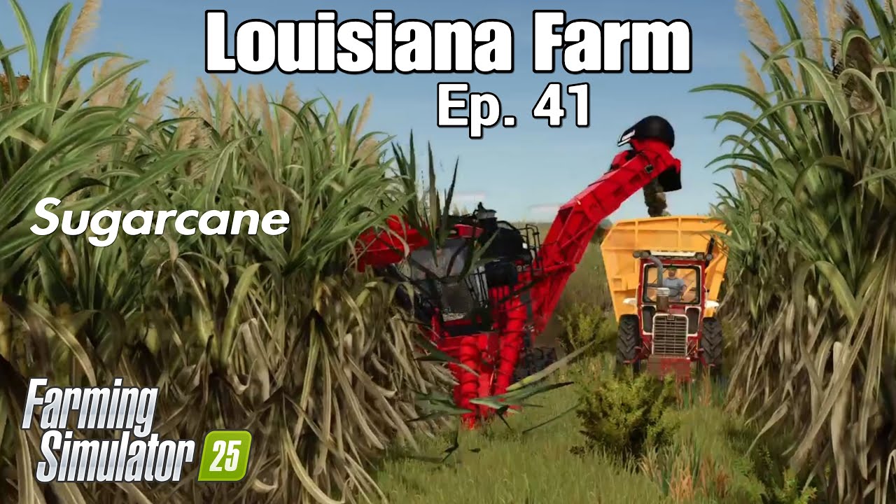 Louisiana Farm / Ep. 41 Sugarcane / Farming Simulator 25 PS5 Let's Play FS25