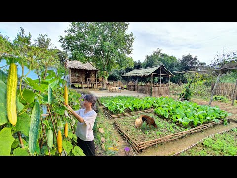 Video: Berkebun 