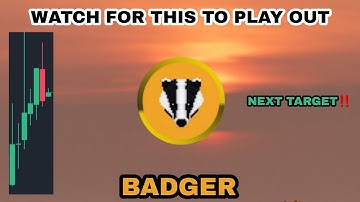 BADGER COIN STARTS TO BOUNCE IN MAY 2023‼️ BADGER DAO NEXT TARGET UPDATES❗ BADGER CRYPTO NEW SIGNALS