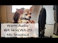 Warm Audio WA-14 vs WA-251 Mic Shooutout Sound Test