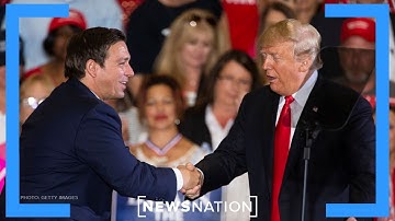 The rise of DeSantis: Is a showdown with Trump inevitable? | Dan Abrams Live