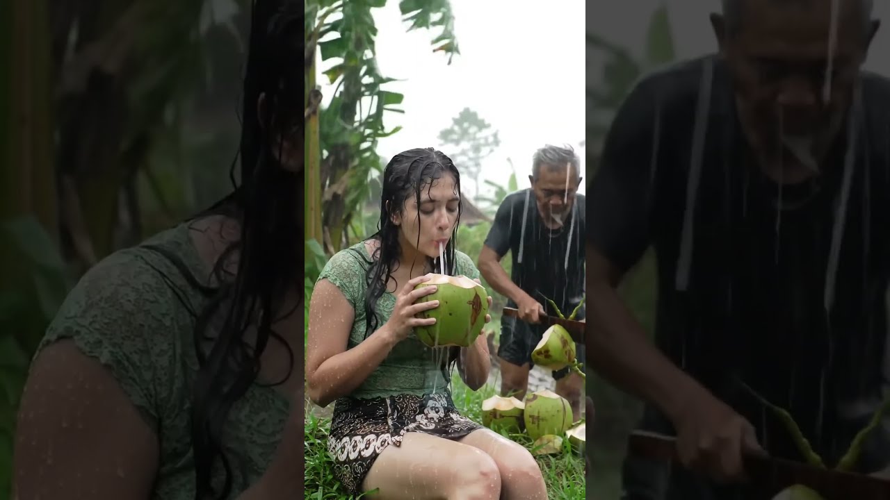 Fresh Young Coconut In The Middle Of Heavy Rain Is Truly Delicious Beautful