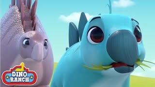 Download Lagu 🦕 Raptors \u0026 the Moonlight Mystery and More Dinosaur Cartoons for Kids | Dino Ranch Compilation MP3